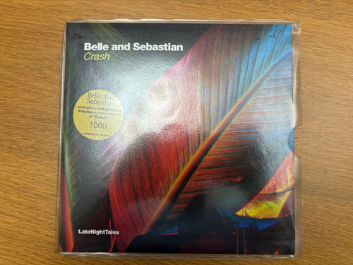 Belle and sebastian crash - belle,