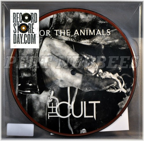 The cult for - for, animals