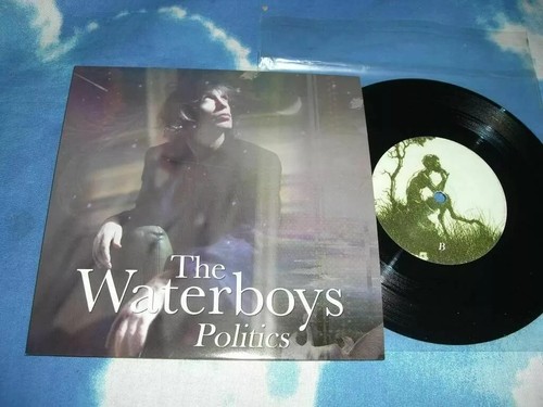 Waterboys politics 2 - waterboys,